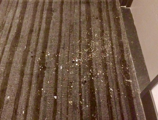 If Westview Goes Market - Learning from Manhattan Park's Decline What used to be unacceptable is routine: debris left for days in hallways as transients migrate routinely in and out without cleaning up after themselves. The problem of filth is magnified by managements failure to carry out even routine inspections.
